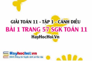 Giải bài 1 trang 57 Toán 11 tập 1 SGK Cánh Diều